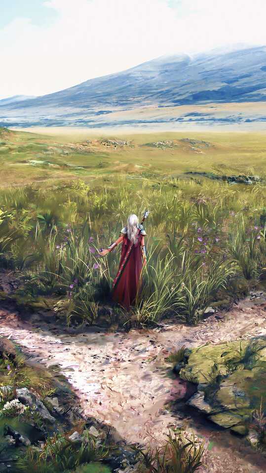 Доктрина ИВВ — Информация, выбор, воздействие